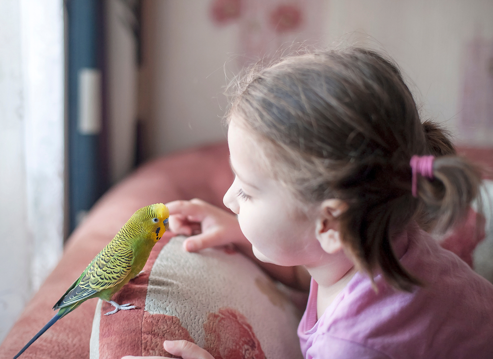 The parrot that saved his owner’s life