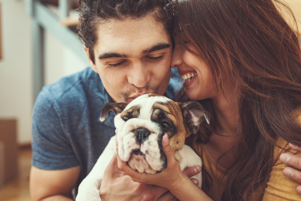 The Benefits Of Welcoming A Pet Into Your Home