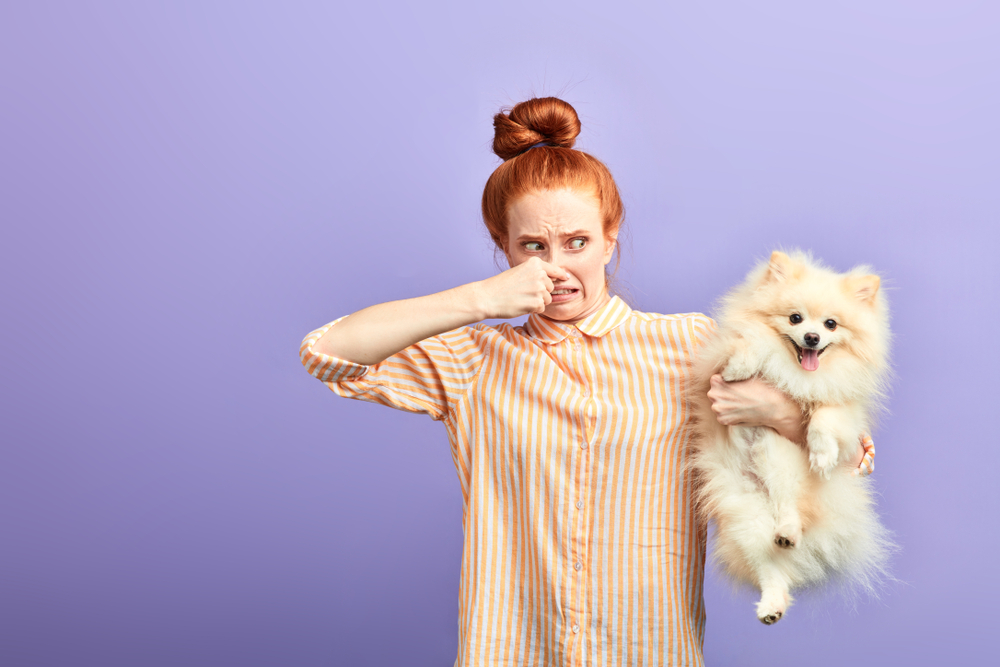 After spending thousands owner discovers why dog kept dropping stinky farts