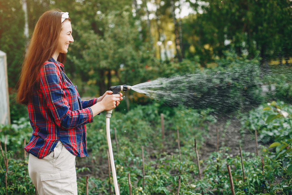 Mindful garden watering: balancing water use and conservation