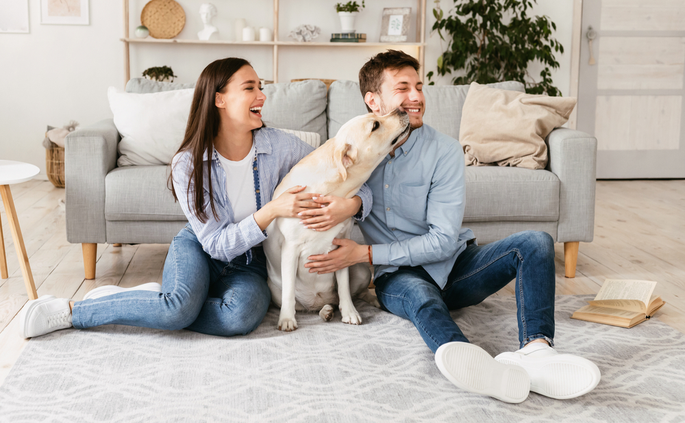 Do Dogs Smell Our Emotions? Read On to Find Out