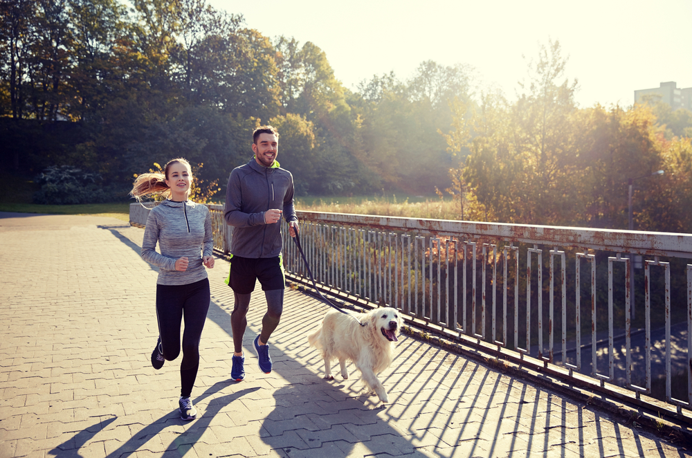 Helping your pet remain slim, trim, and healthy