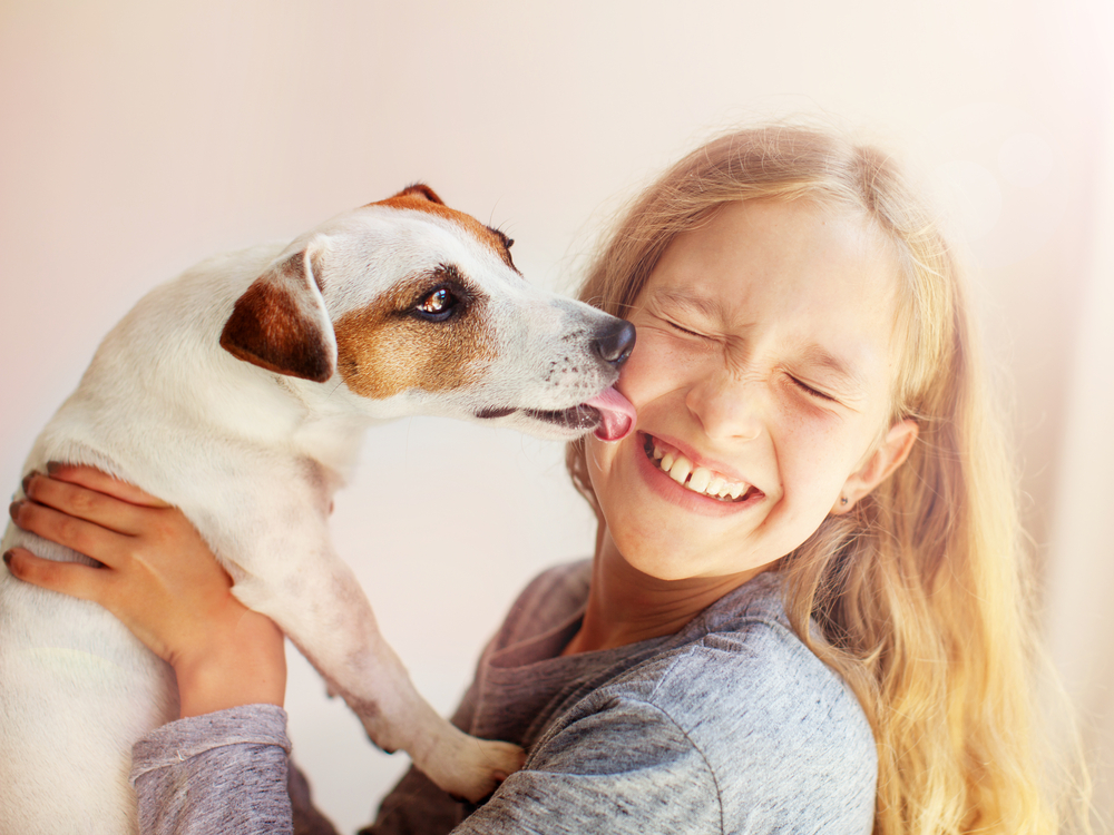 Why do dogs lick people?